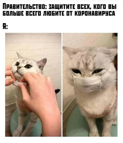 Скриншот 29-03-2020 180046.webp