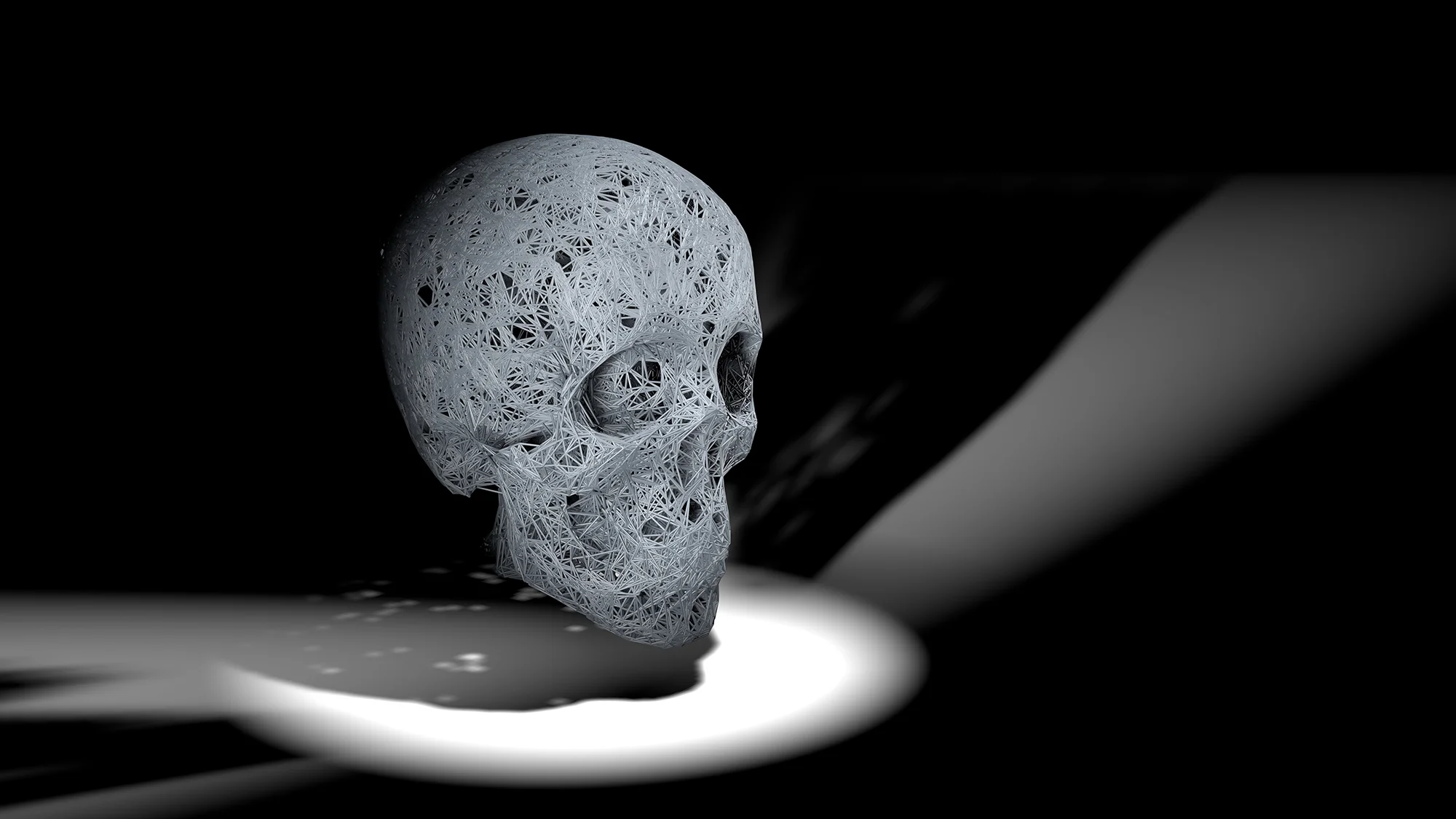 skull plexus2_small.webp