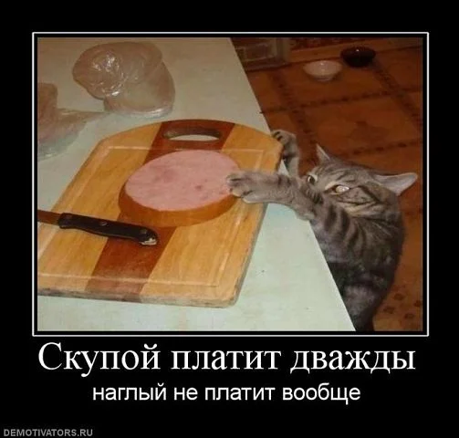 скупой.webp