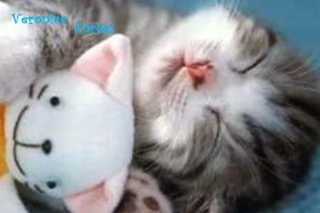 сладких снов.webp