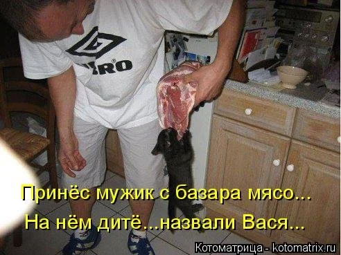 славе.webp