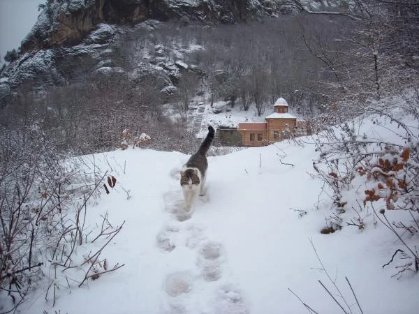 следую за вми.webp