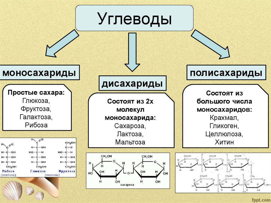 slide-17.jpg