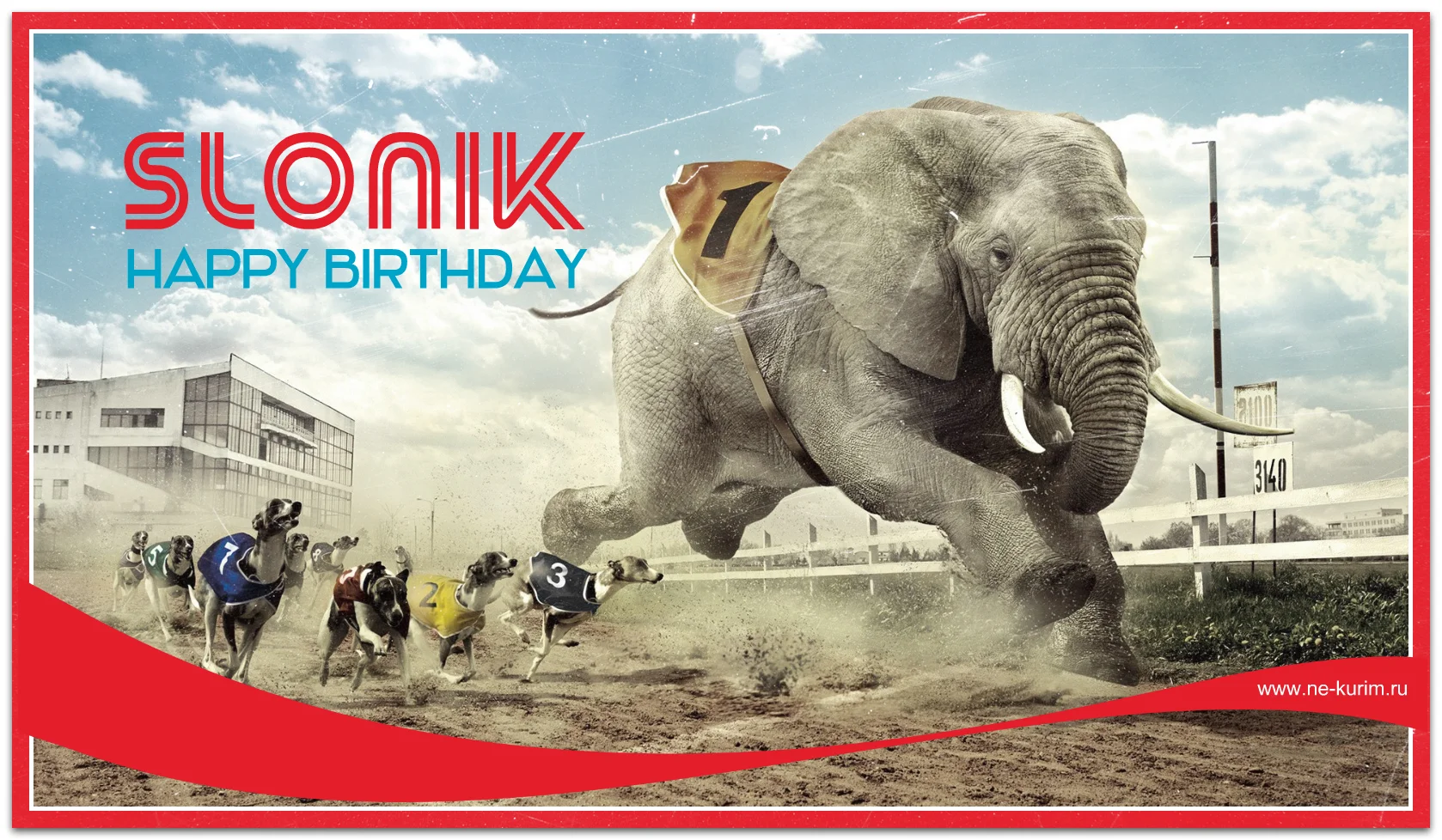 слоник др.webp