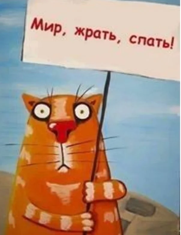 SmartSelect_20190821-210641_Samsung Internet.webp