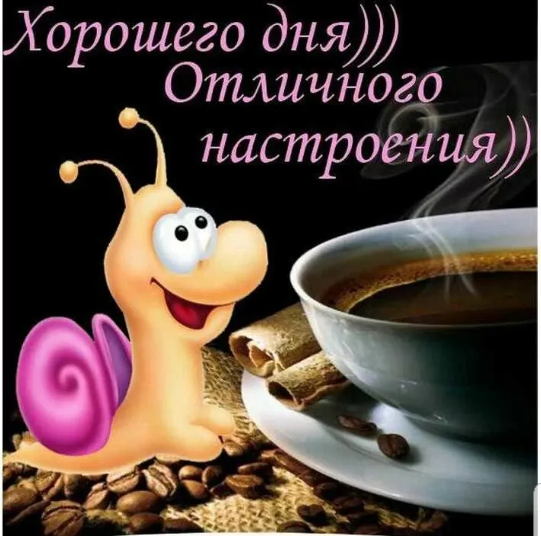 SmartSelect_20190827-091713_Samsung Internet.webp