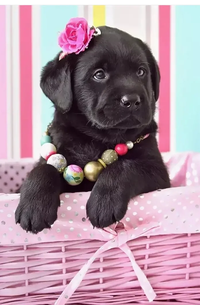 SmartSelect_20190828-095904_Samsung Internet.webp