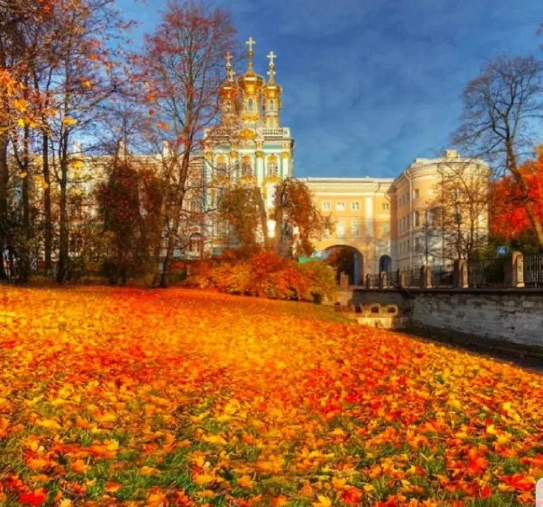 SmartSelect_20190901-105125_Samsung Internet.jpg