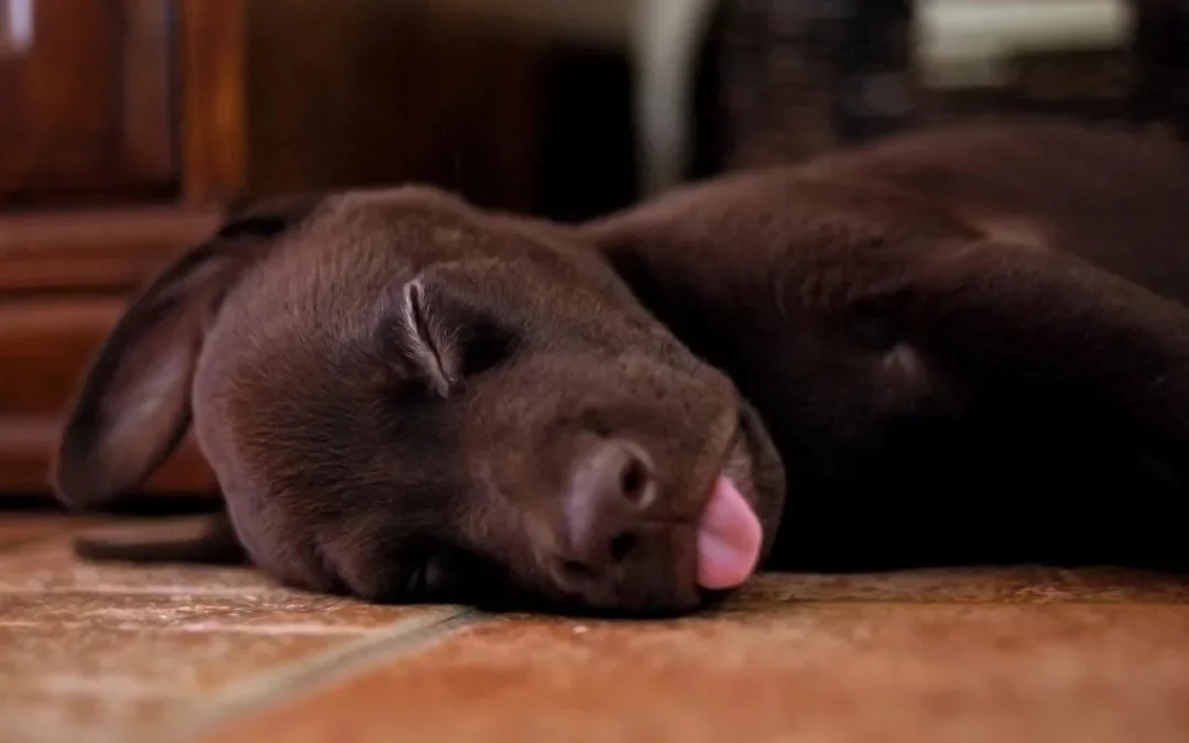 SmartSelect_20190904-235320_Samsung Internet.webp