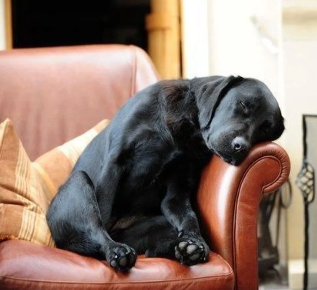 SmartSelect_20190904-235526_Samsung Internet.webp