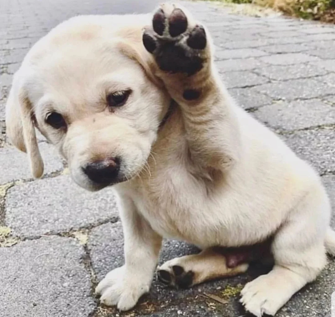 SmartSelect_20190905-083254_Samsung Internet.jpg