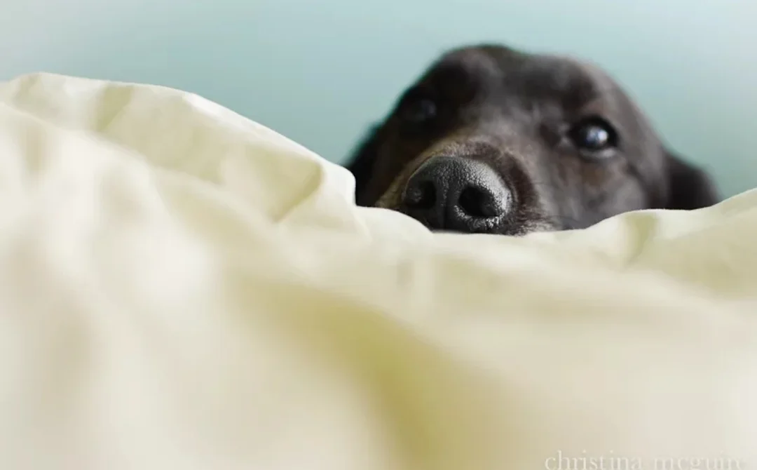 SmartSelect_20190905-083320_Samsung Internet.webp