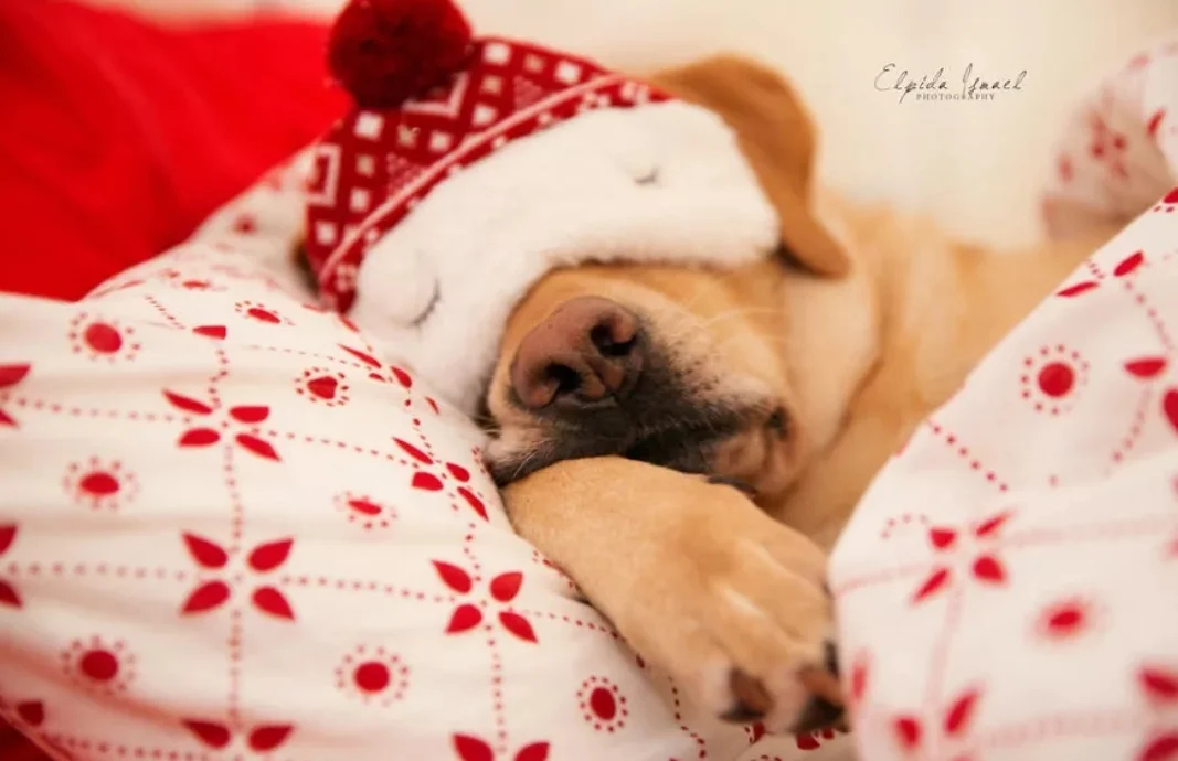 SmartSelect_20190905-083409_Samsung Internet.webp