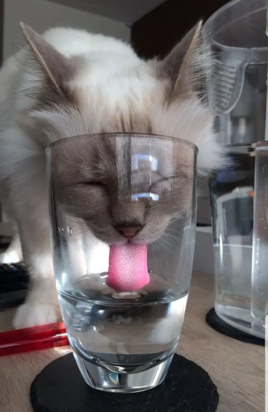 SmartSelect_20190907-090714_Samsung Internet.webp