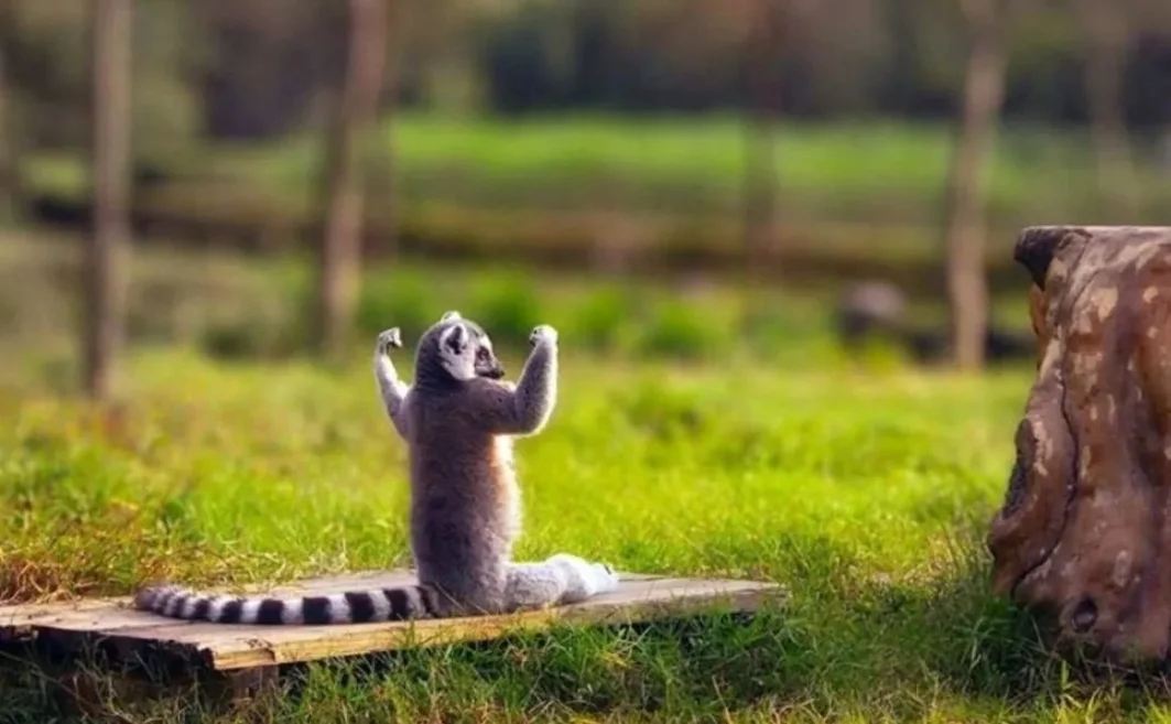 SmartSelect_20190908-090743_Samsung Internet.webp