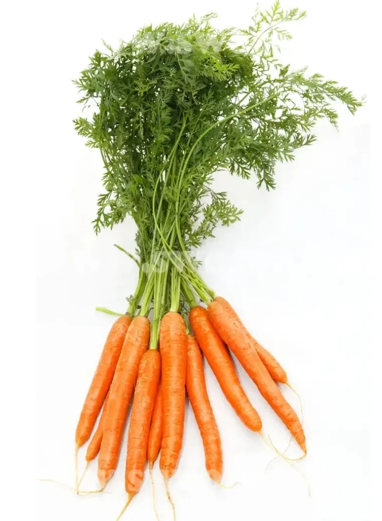 SmartSelect_20190908-133850_Samsung Internet.jpg