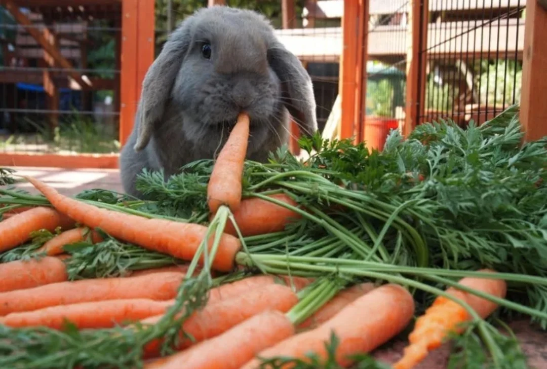 SmartSelect_20190908-135151_Samsung Internet.webp