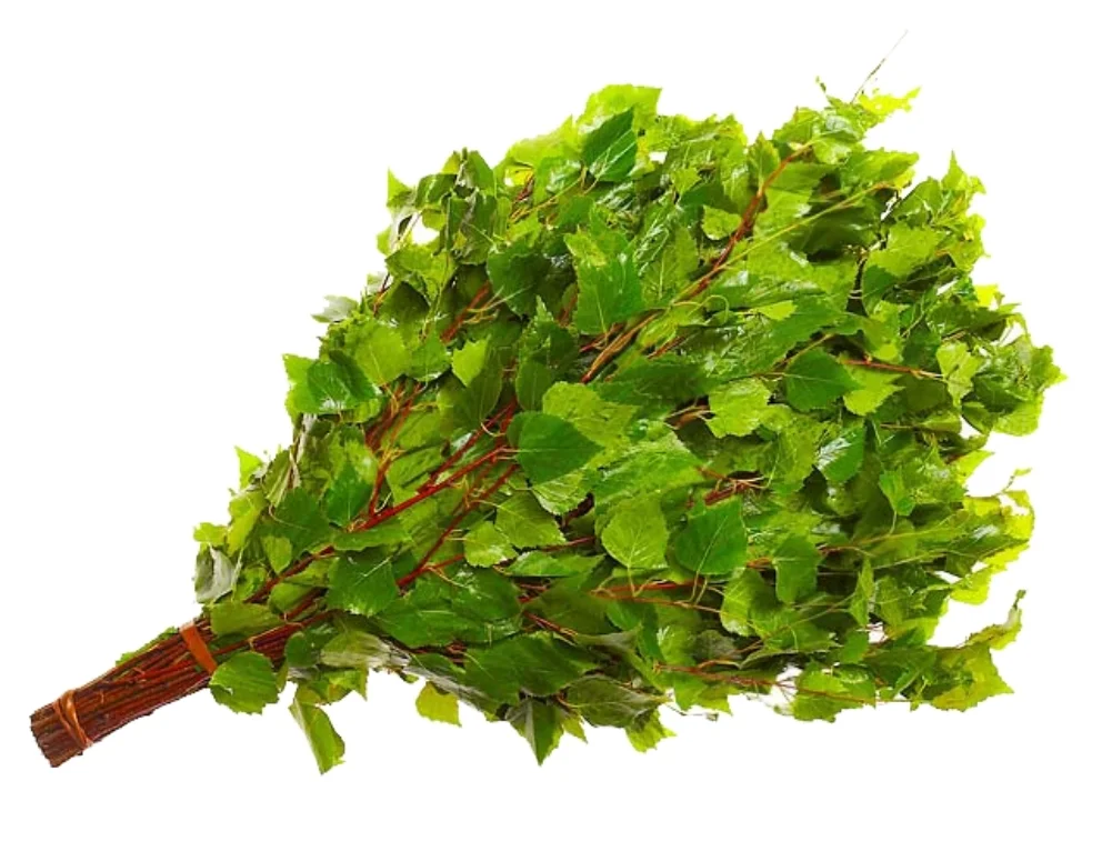 SmartSelect_20190908-164512_Samsung Internet.webp