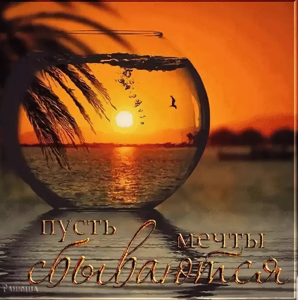 SmartSelect_20190908-185852_Samsung Internet.webp