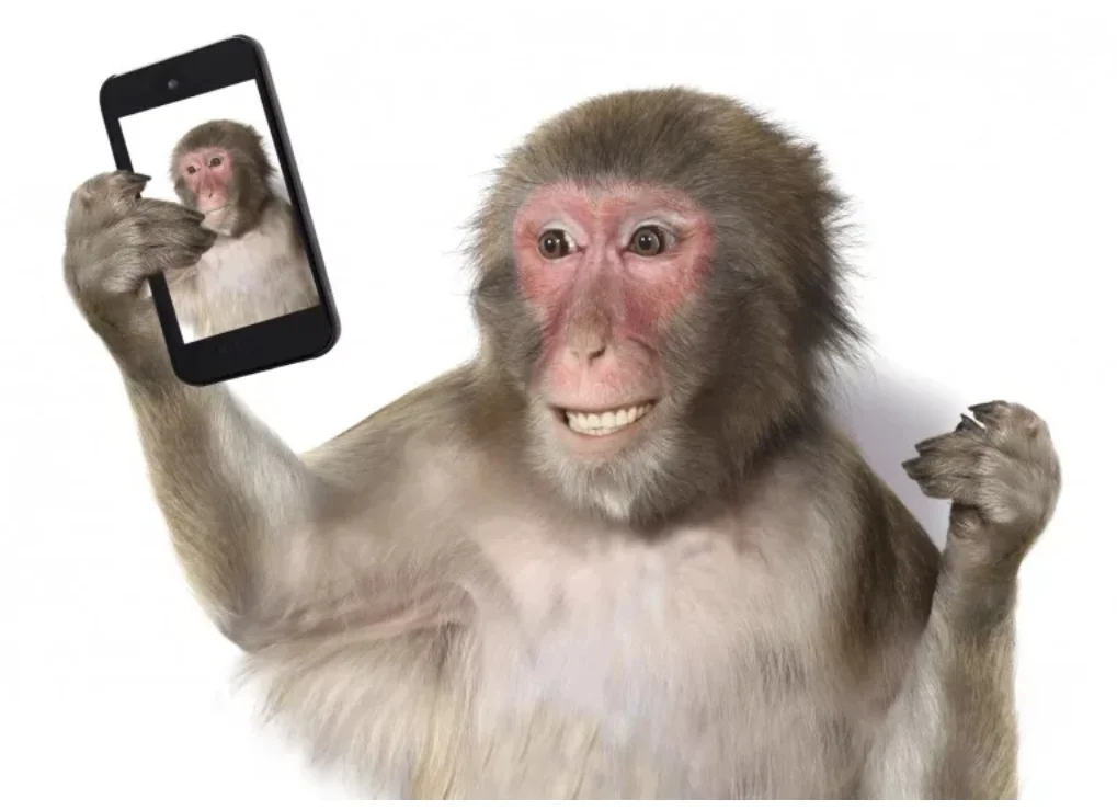 SmartSelect_20190912-110334_Samsung Internet.webp