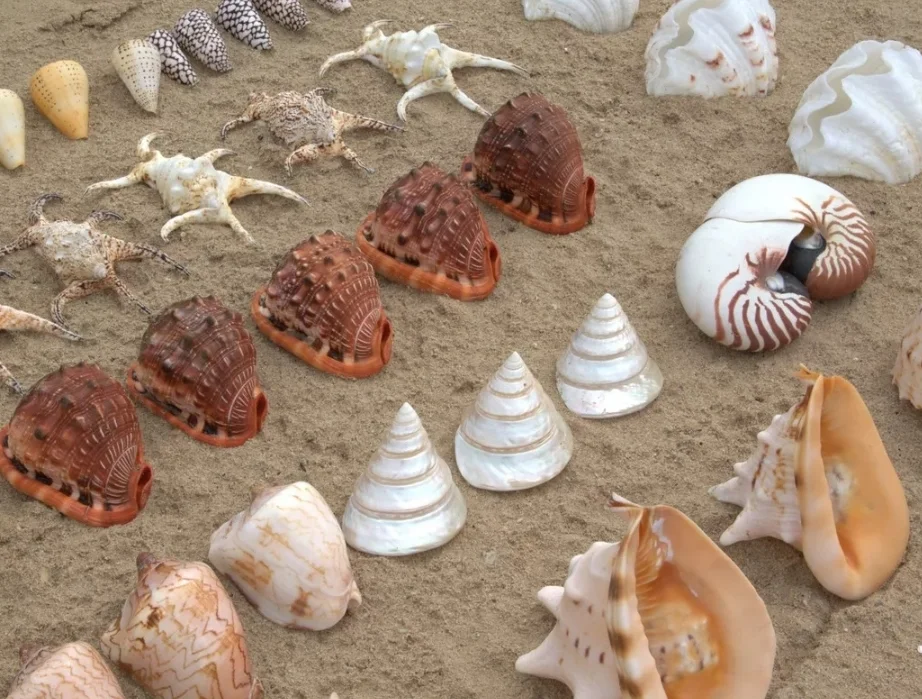 SmartSelect_20190912-110423_Samsung Internet.webp