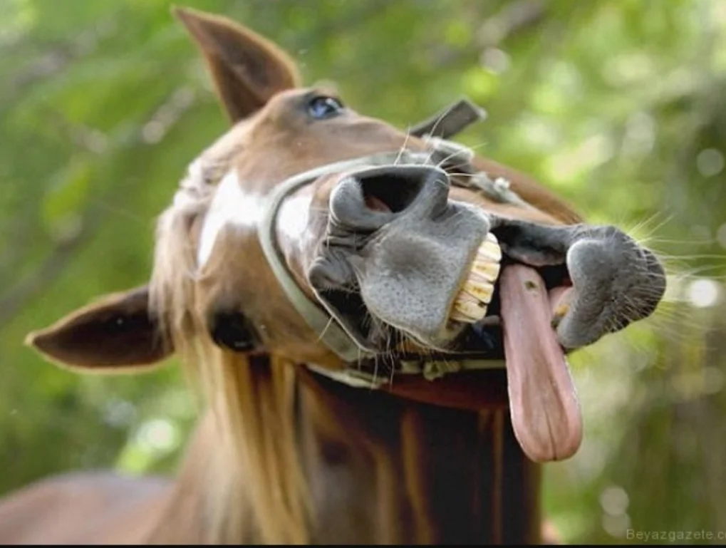 SmartSelect_20190913-215047_Samsung Internet.webp