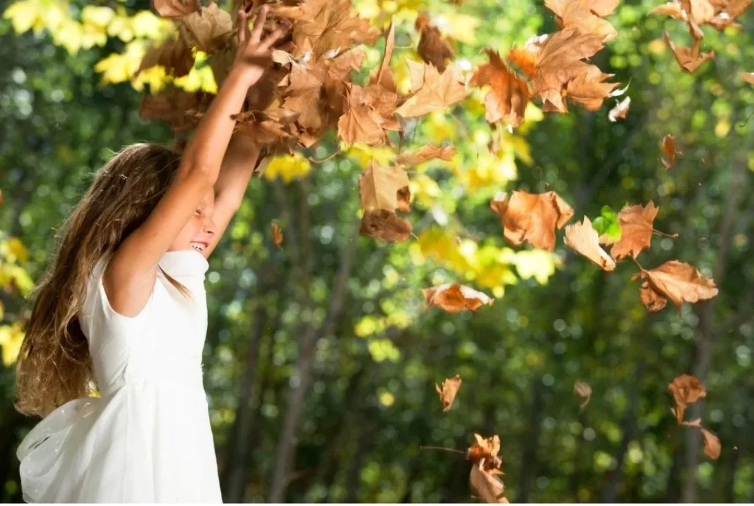 SmartSelect_20190915-102247_Samsung Internet.webp