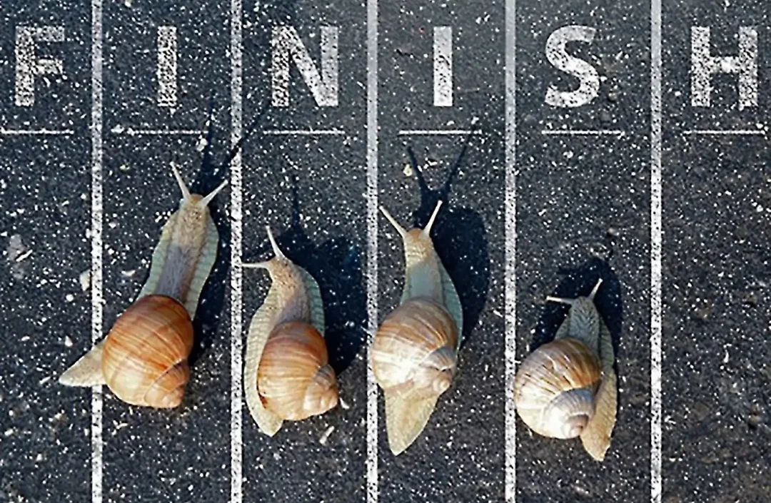 SmartSelect_20190916-114709_Samsung Internet.webp