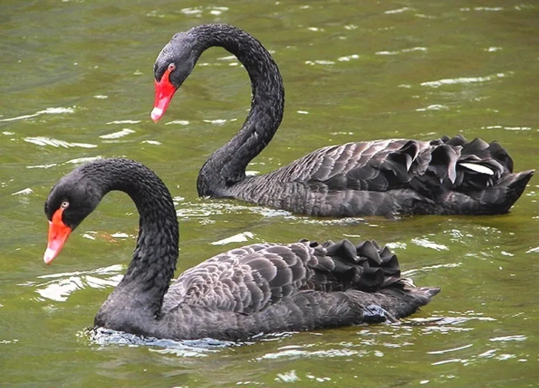 SmartSelect_20190917-132244_Samsung Internet.webp