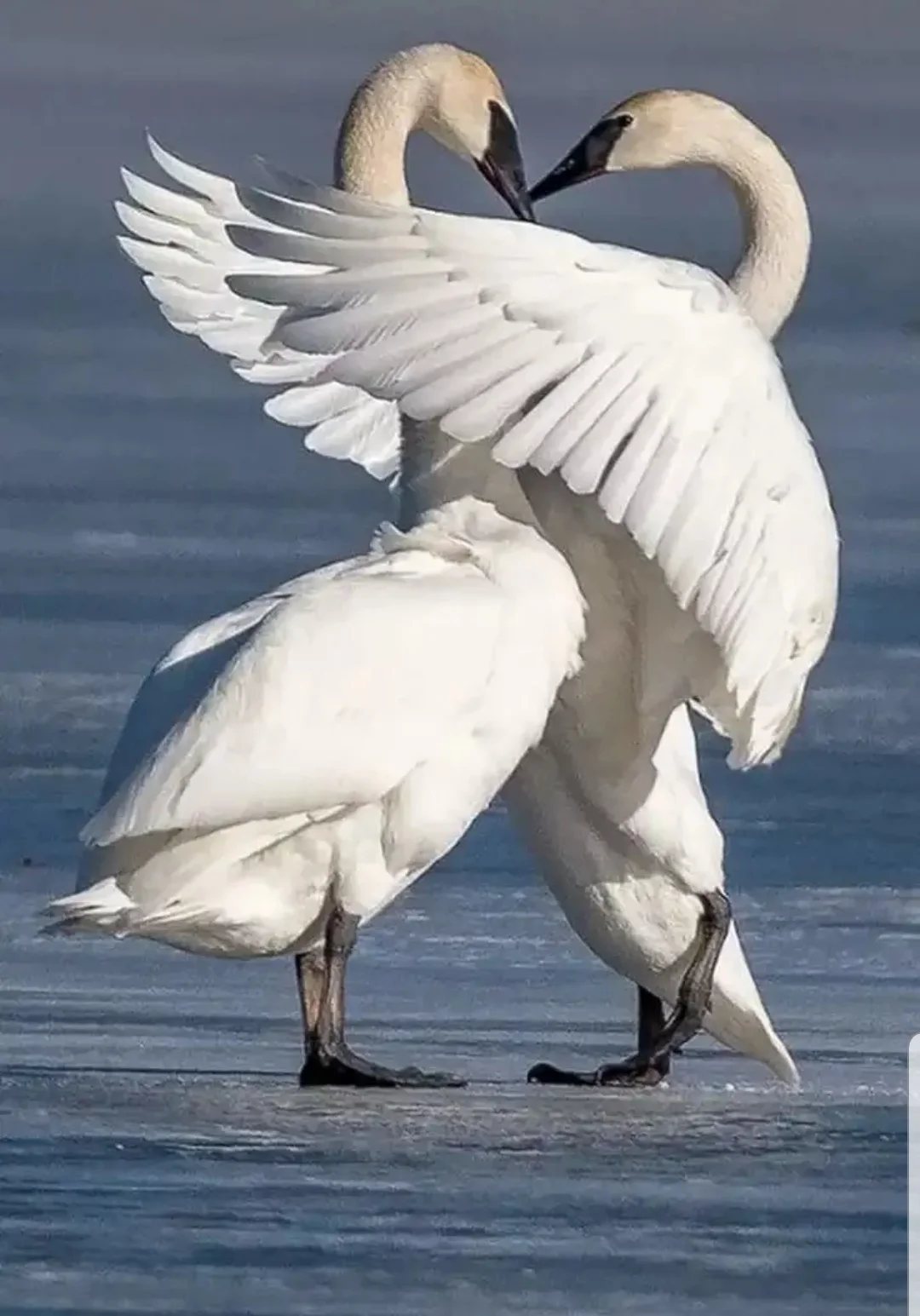 SmartSelect_20190918-112259_Samsung Internet.webp