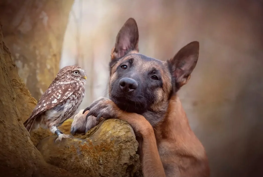 SmartSelect_20190918-194542_Samsung Internet.webp