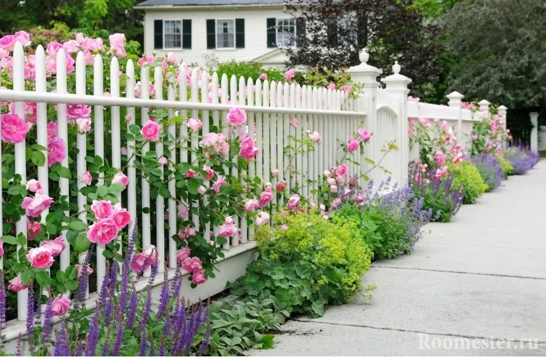 SmartSelect_20190919-123548_Samsung Internet.jpg