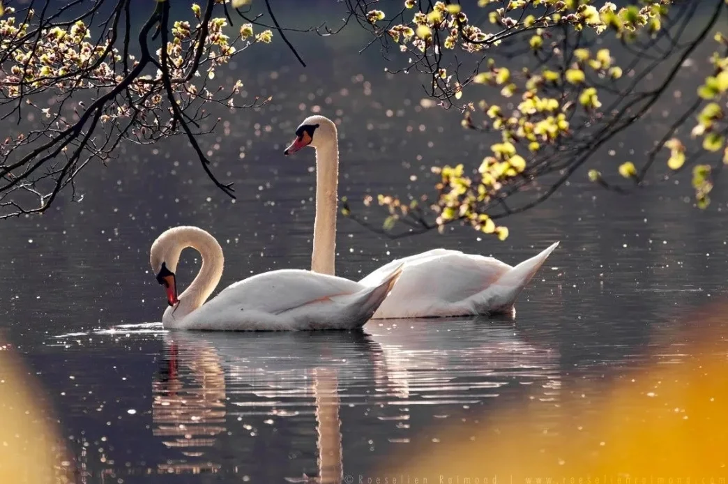 SmartSelect_20190919-131750_Samsung Internet.webp