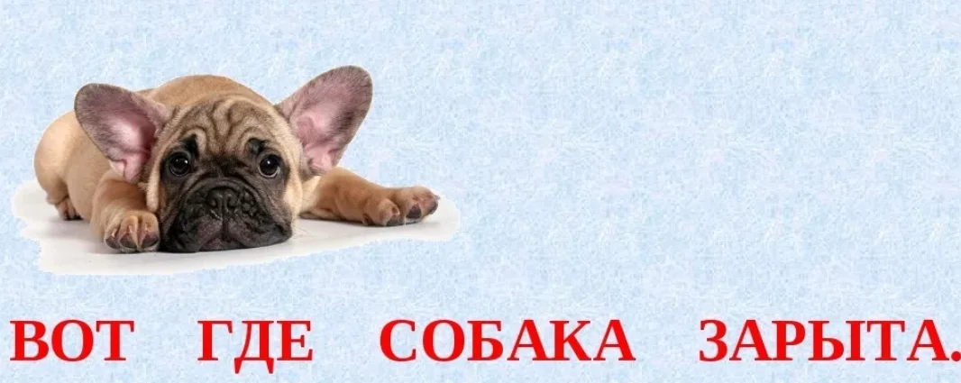 SmartSelect_20190920-131444_Samsung Internet.webp