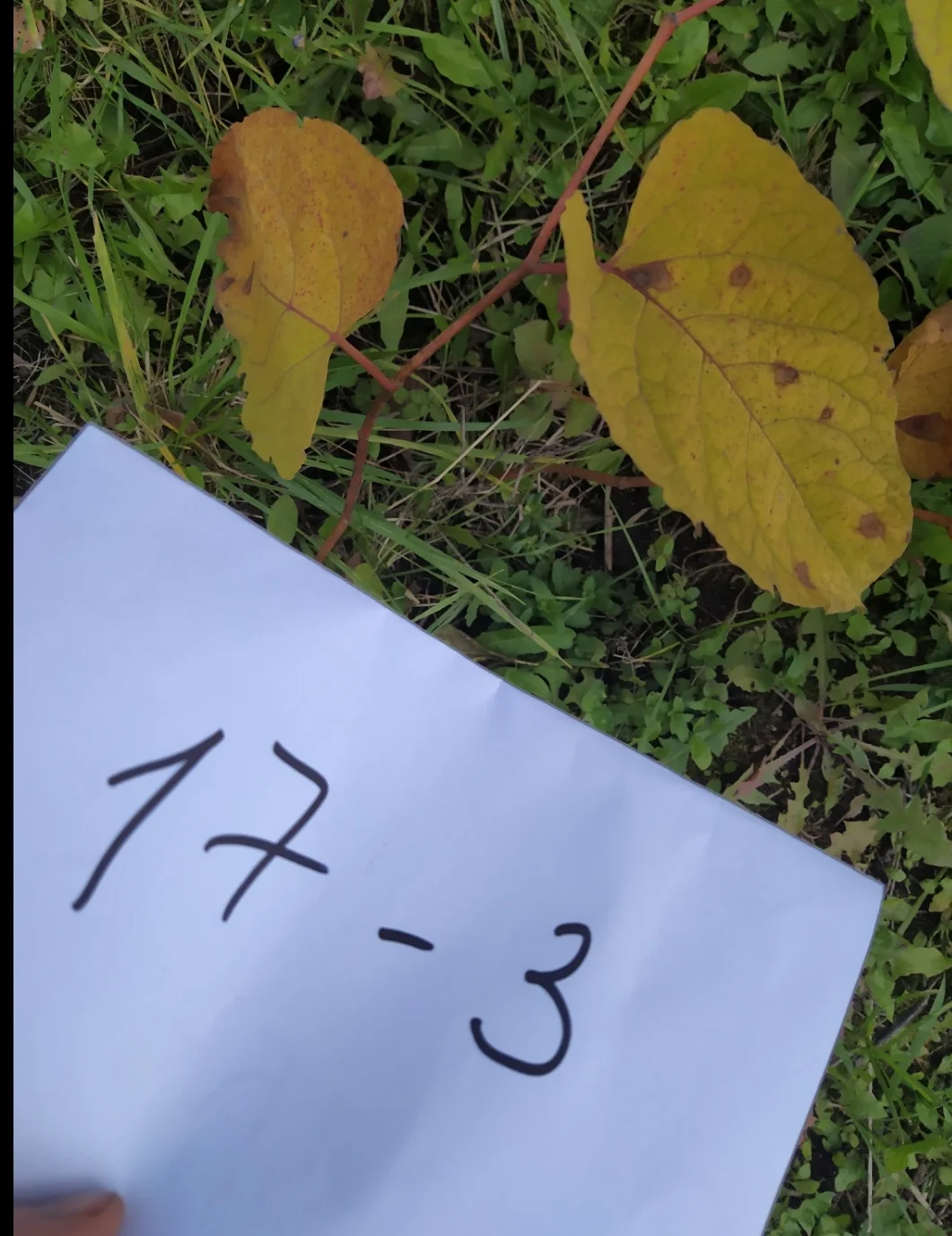 SmartSelect_20190922-193039_Samsung Internet.webp