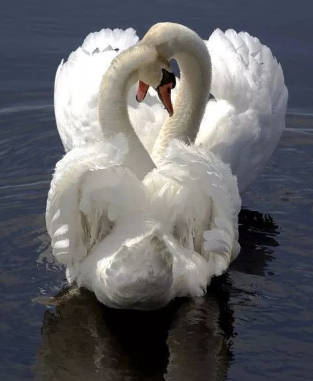 SmartSelect_20190923-131224_Samsung Internet.webp