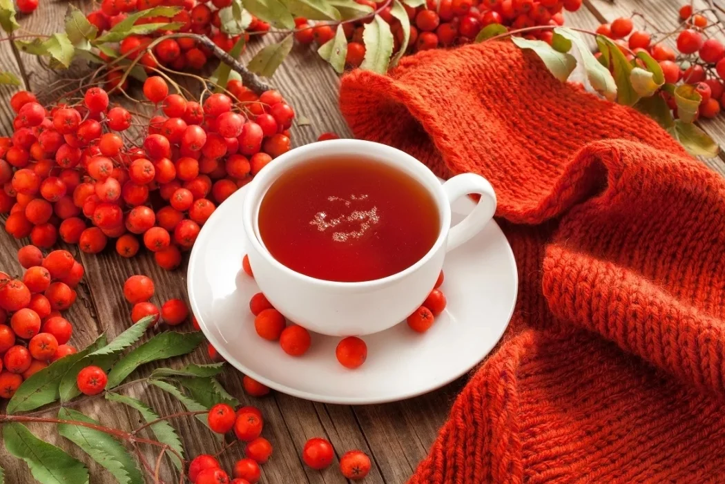 SmartSelect_20190926-093343_Samsung Internet.webp