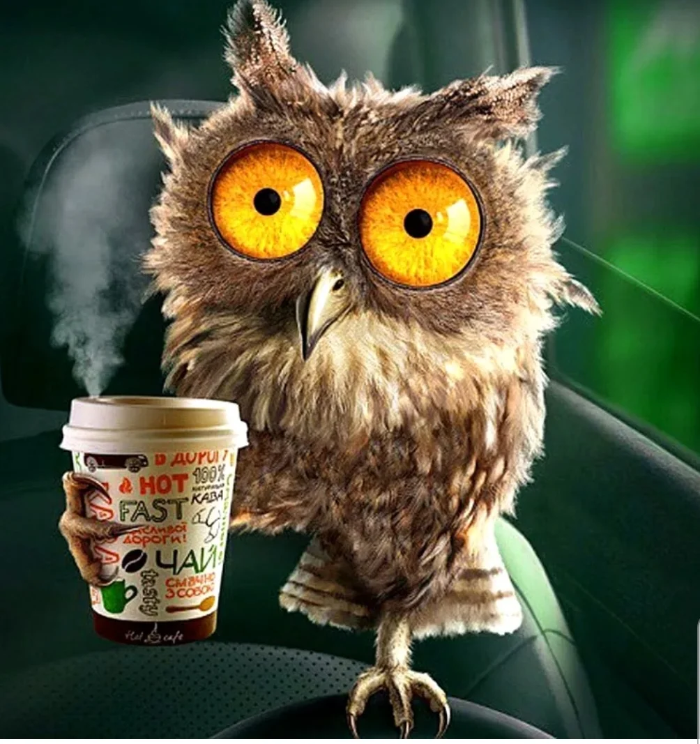 SmartSelect_20190927-213846_Samsung Internet.webp