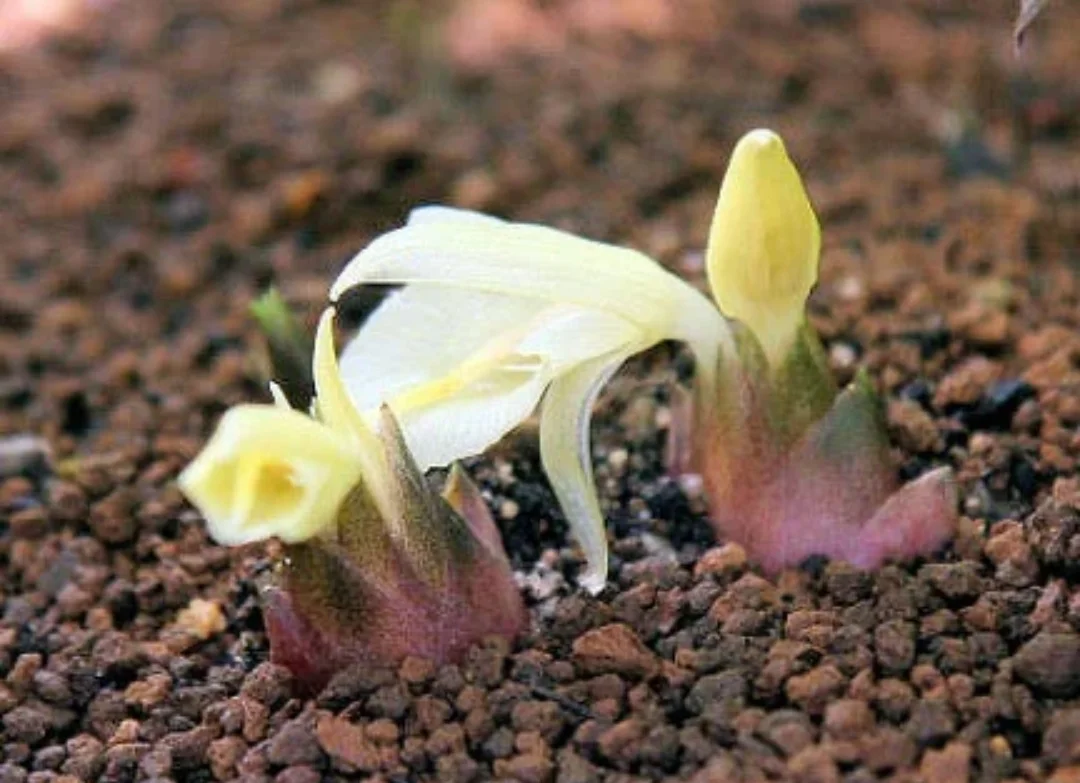 SmartSelect_20190928-095648_Samsung Internet.webp