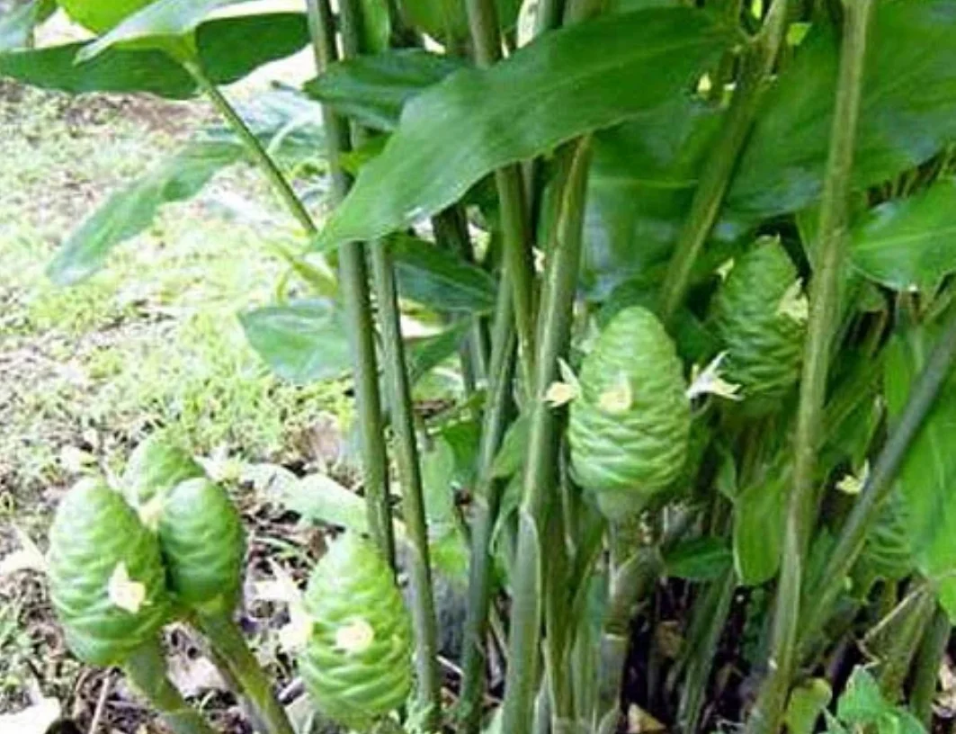 SmartSelect_20190928-095704_Samsung Internet.webp