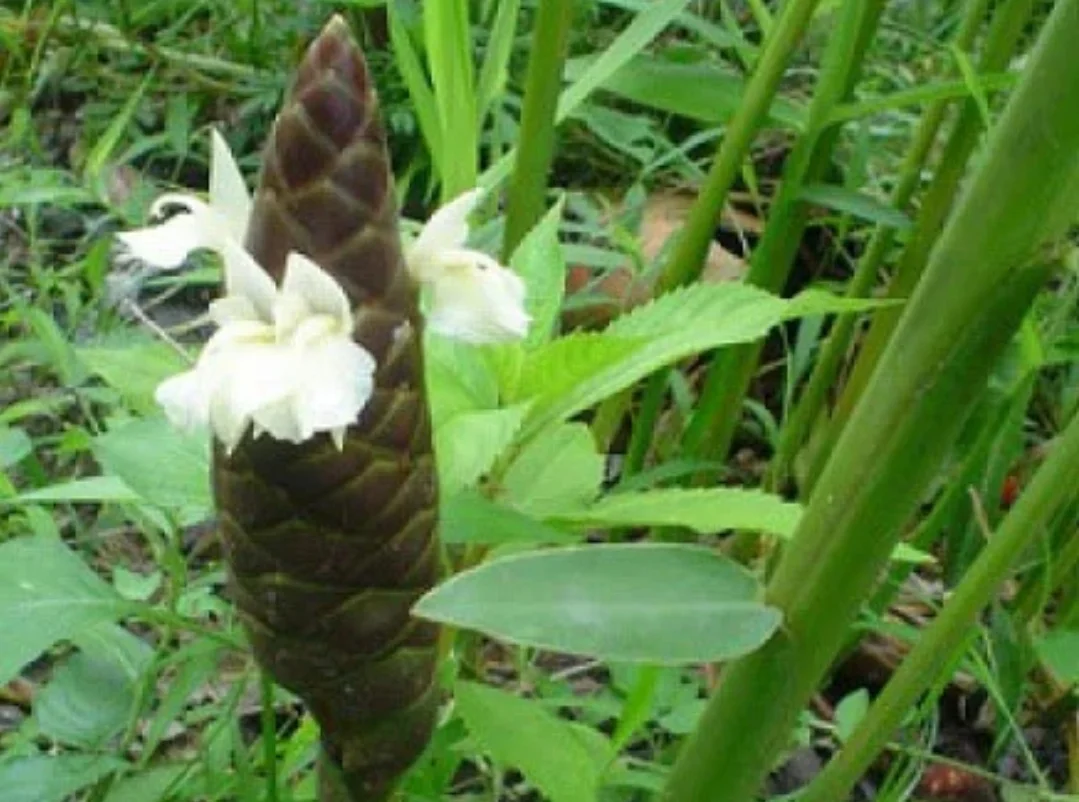 SmartSelect_20190928-095720_Samsung Internet.webp