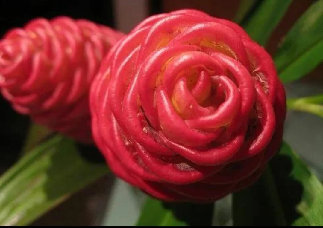 SmartSelect_20190928-095804_Samsung Internet.webp