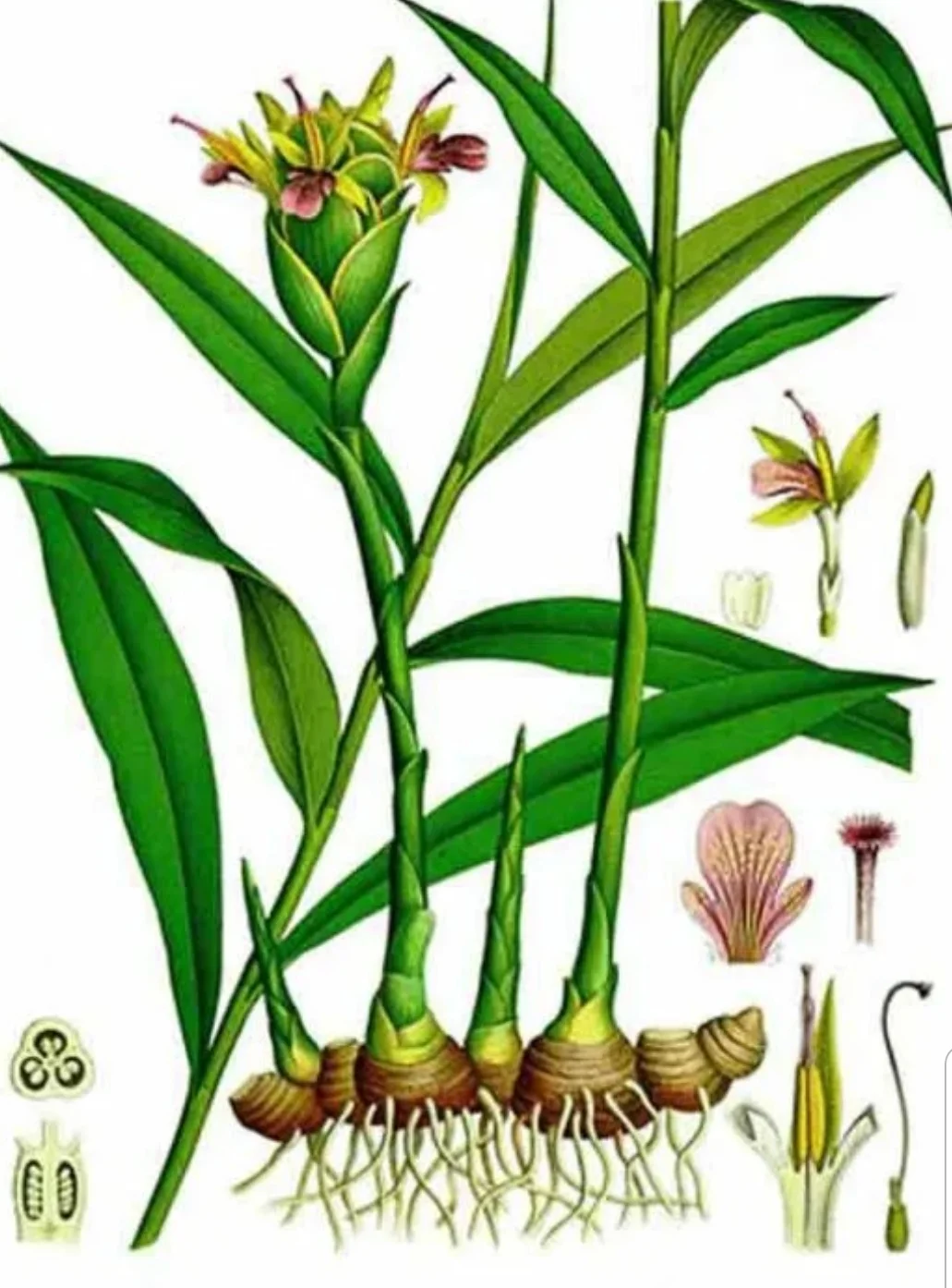 SmartSelect_20190928-095822_Samsung Internet.webp