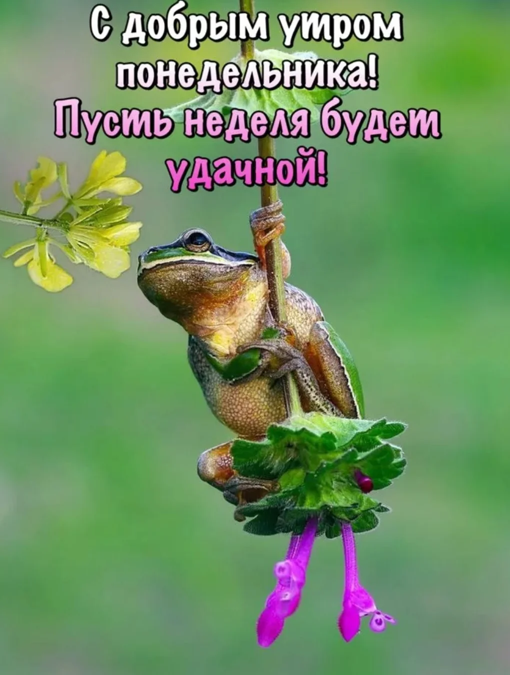 SmartSelect_20190930-102318_Samsung Internet.webp