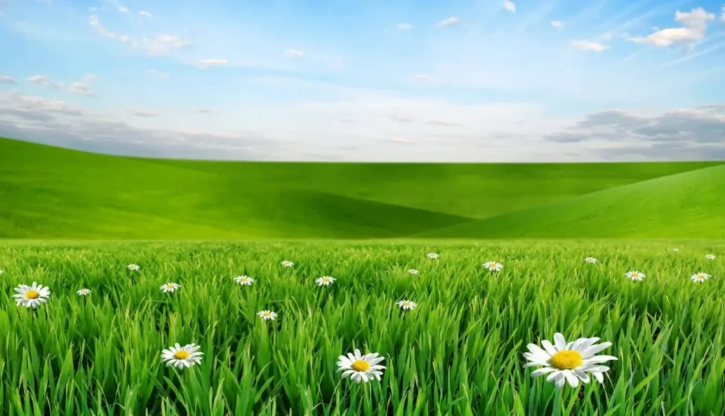 SmartSelect_20191003-154422_Samsung Internet.webp