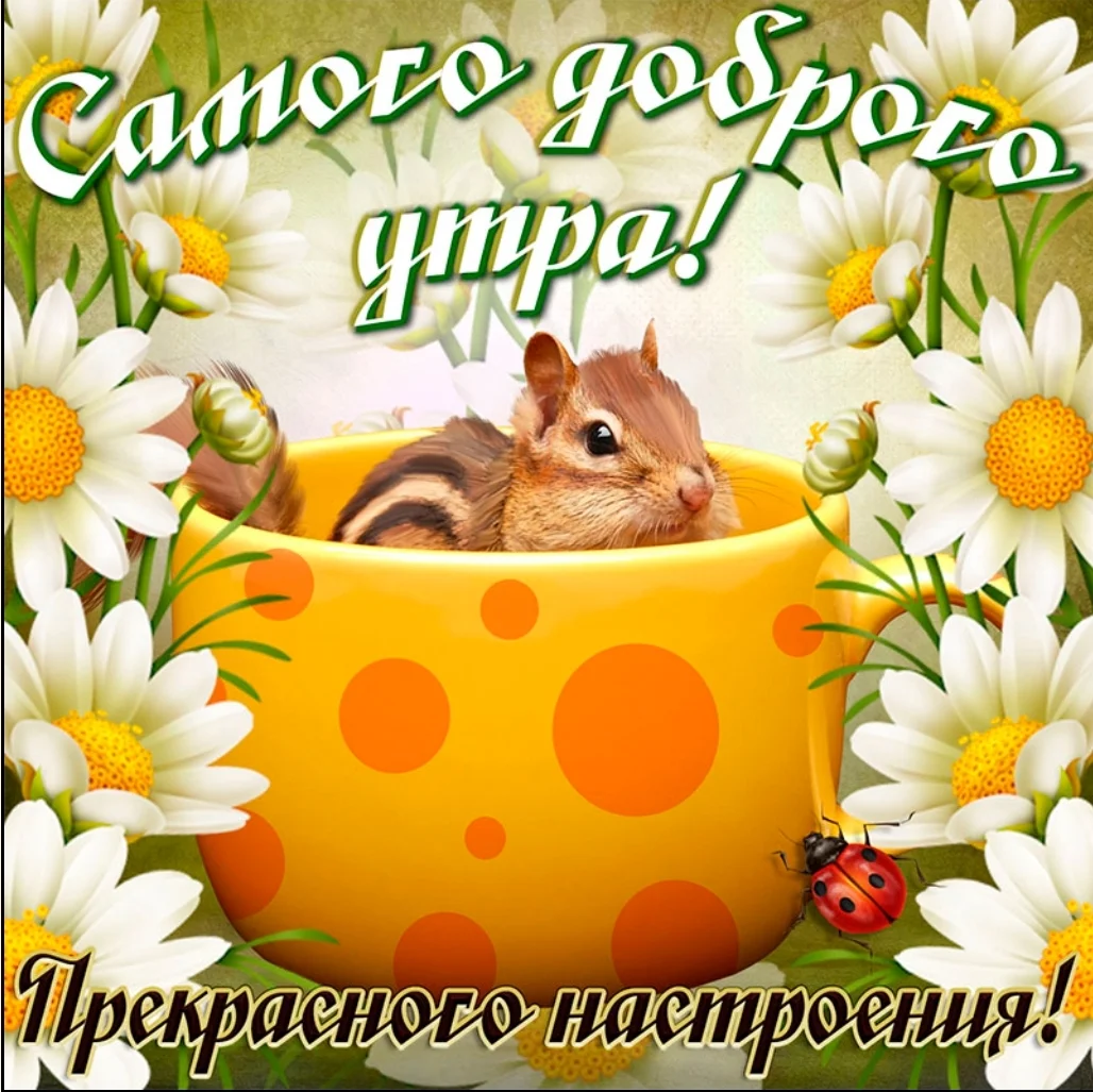 SmartSelect_20191004-084246_Samsung Internet.webp