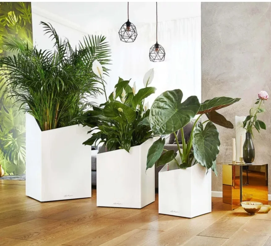 SmartSelect_20191007-224230_Samsung Internet.webp