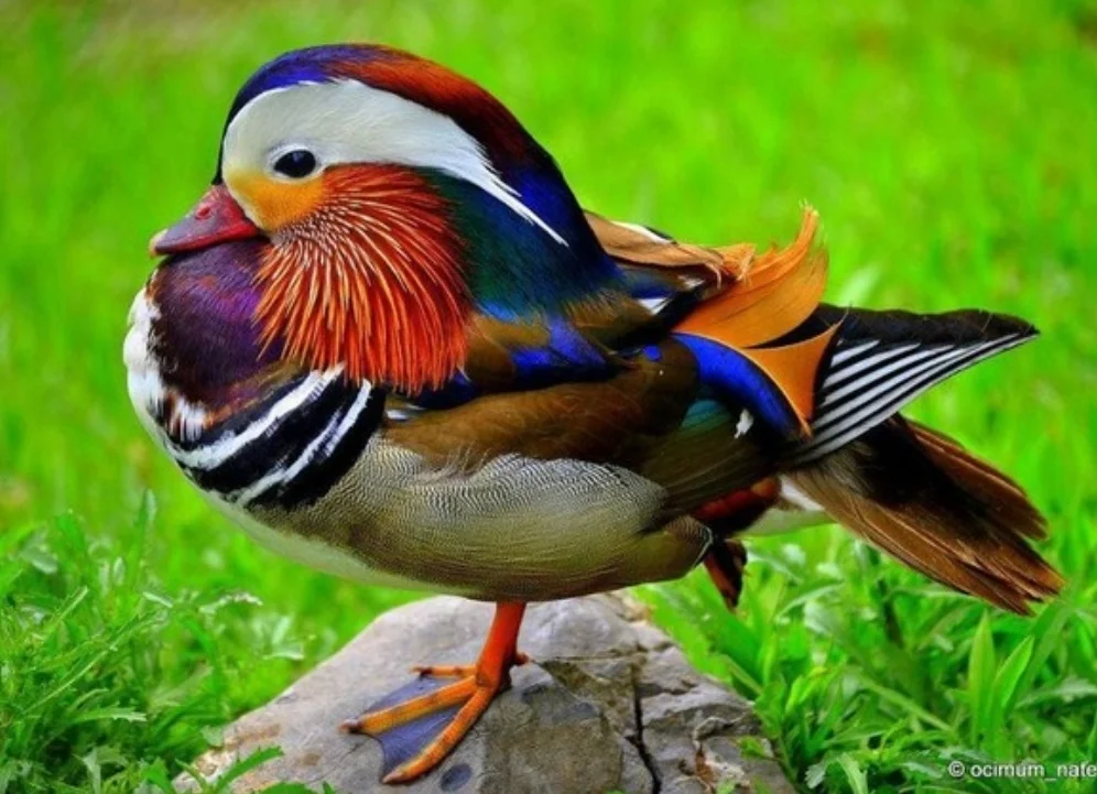 SmartSelect_20191008-183531_Samsung Internet.webp