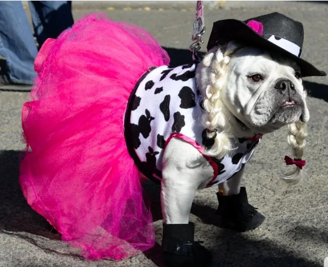 SmartSelect_20191012-100135_Samsung Internet.webp