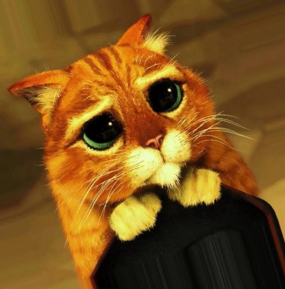 SmartSelect_20191013-115621_Samsung Internet.webp